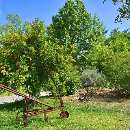 Forty Roses Vourvourou